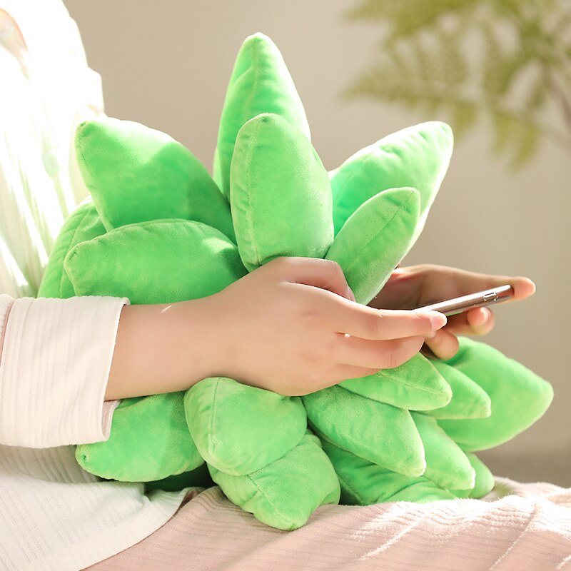 Succulent Plants Plush