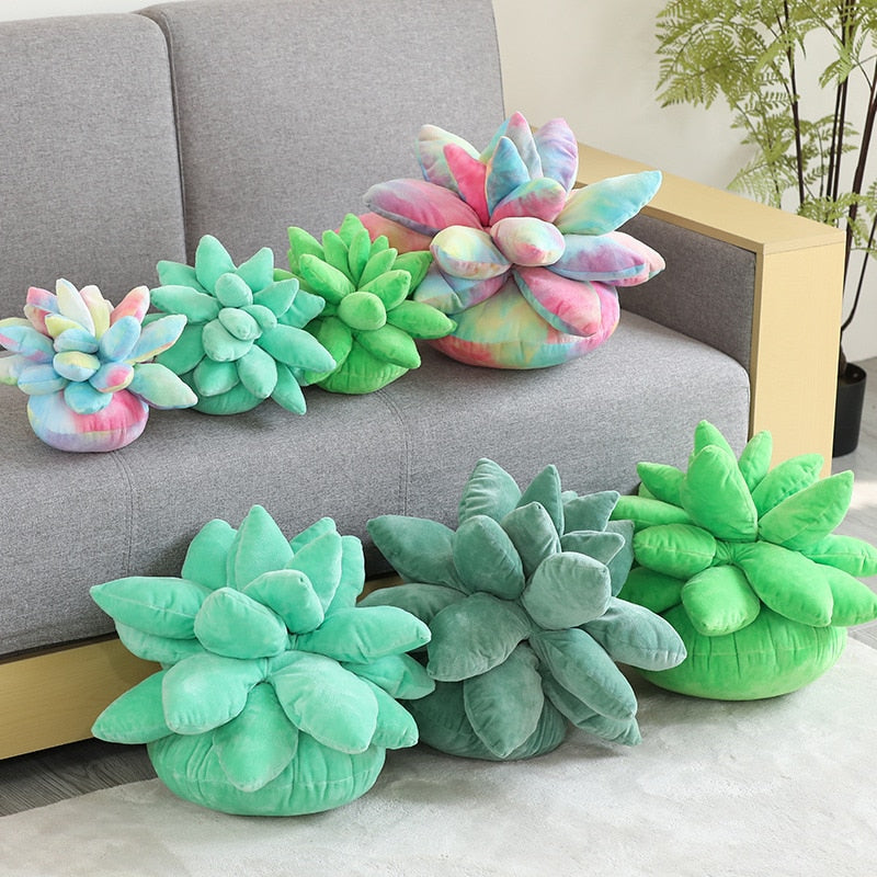 Succulent Plants Plush