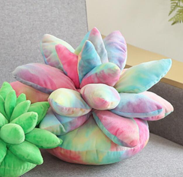 Succulent Plants Plush